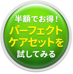 半額でお得！パーフェクトケアセットを試してみる