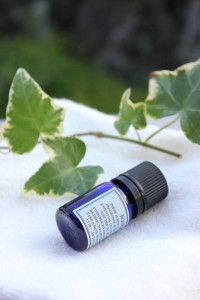 1972255_1698461590379095_7268766101603970163_n